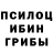 Галлюциногенные грибы Psilocybine cubensis 46 k