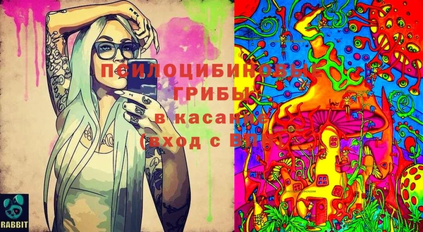 героин Богородицк