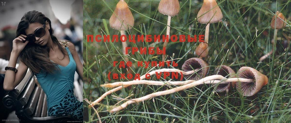 MDMA Premium VHQ Богородск